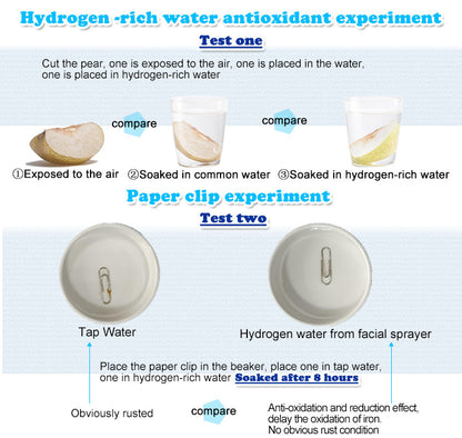 Hydrogen Facial Mist Sprayer