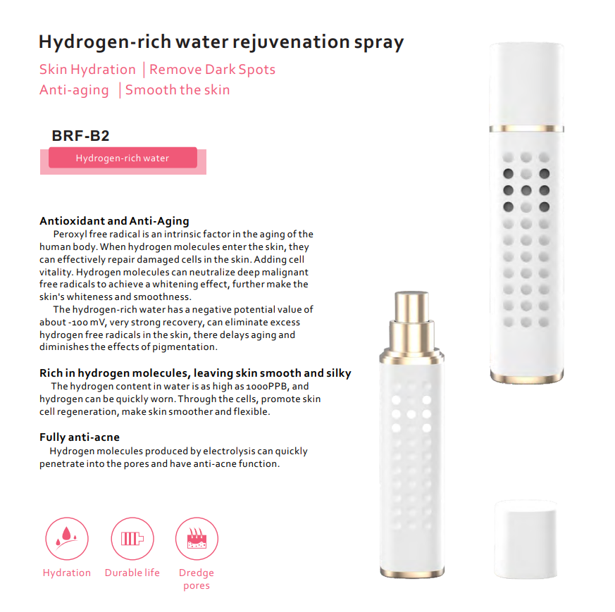 Hydrogen Facial Mist Sprayer