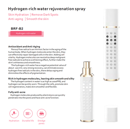 Hydrogen Facial Mist Sprayer